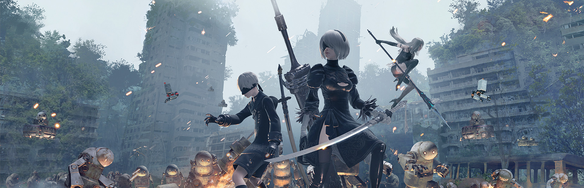 NieR header