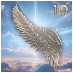 10 Wings achievement image