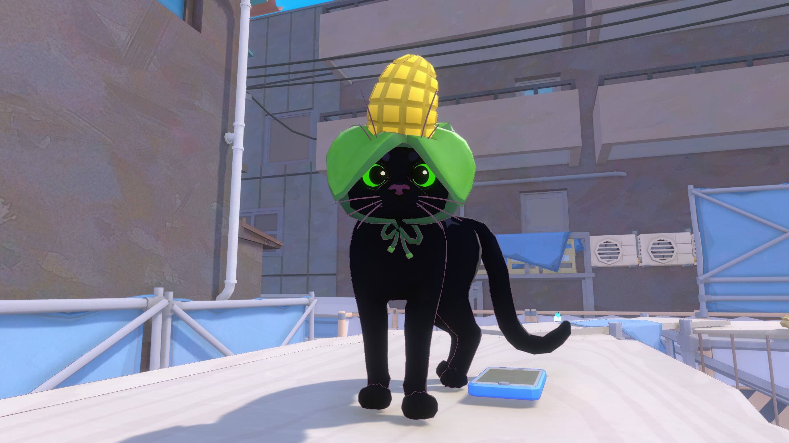 The kitty is standing on top of a construction site wearing a corn cob hat and looking into the camera. There is a mobile phone on the scaffold next to it.