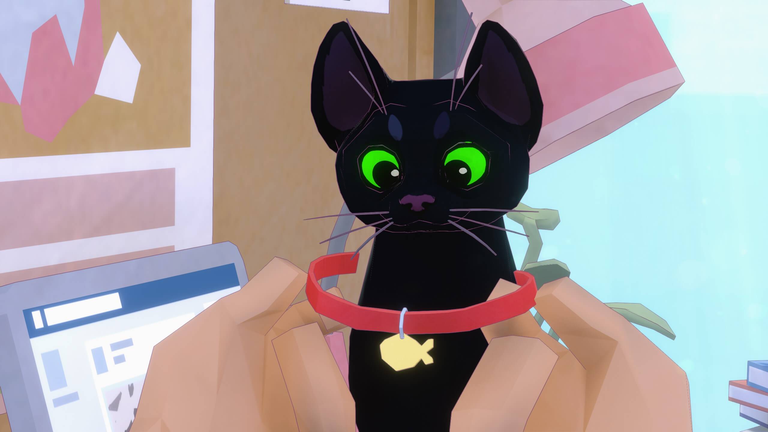 The kitty's owner is placing a name tag with a red band and gold fish where its name would be. The kitty looks surprised as their owner is putting it around their neck.