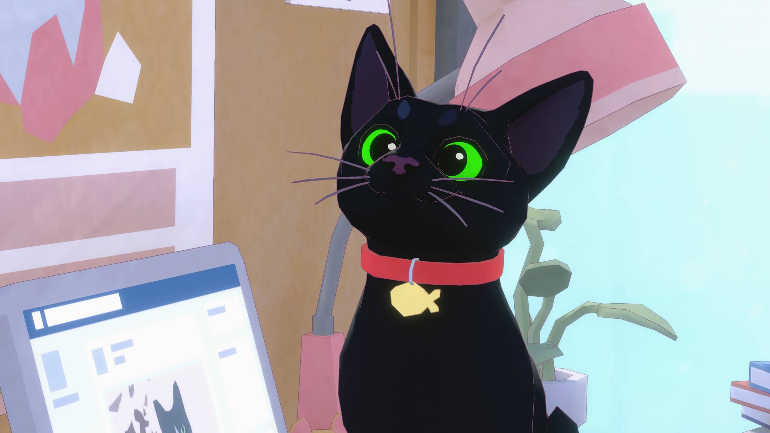 The kitty is looking at their owner off-screen, with its big green eyes and a big smile. It is proud of its new name tag.