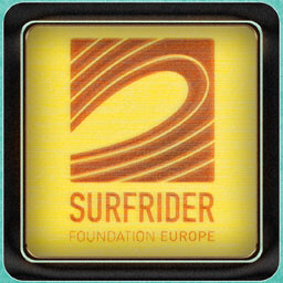 Surfrider: Master Upcycler achievement image